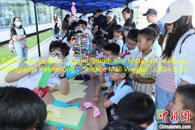 Public Science Day： Tianjin Grund- und Mittelschule Pickup Biologische Herstellung ＂Science Mall Wagger＂